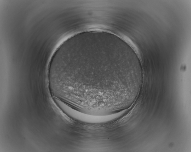 X0000094361384200711301415