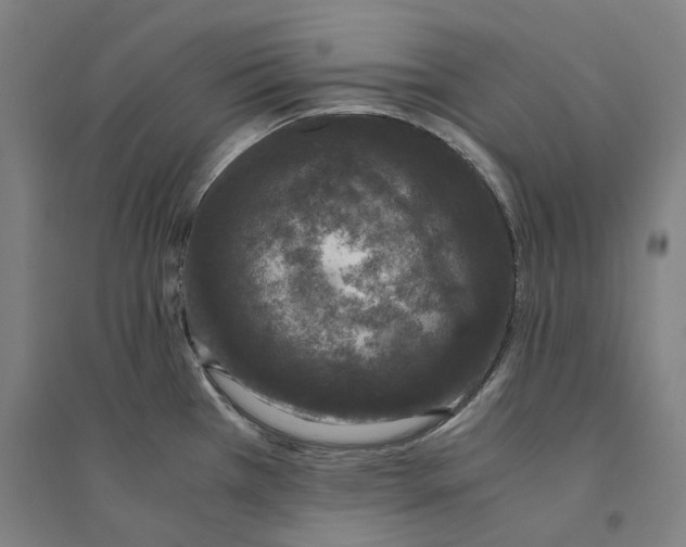 X0000094361385200711301415