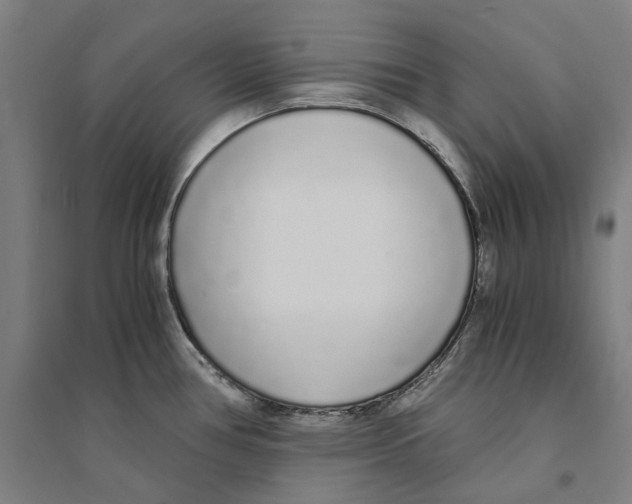 X0000094361386200711301415
