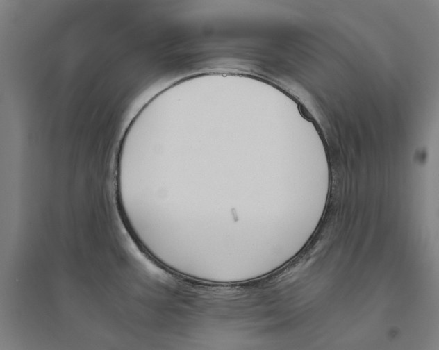 X0000094361387200711301415