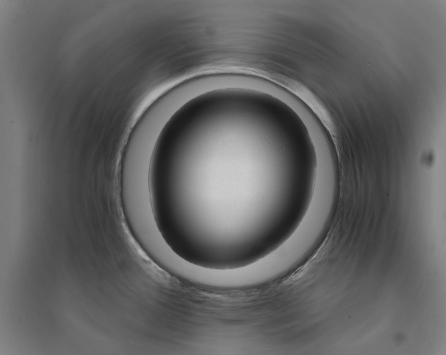 X0000094361388200711301415