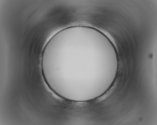 X0000094361390200711301415