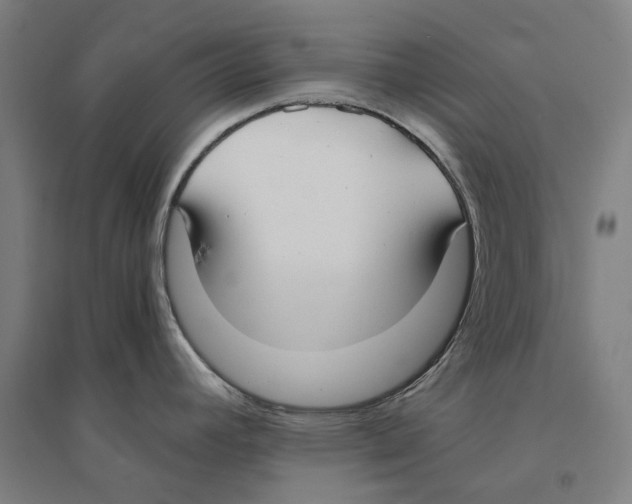 X0000094361392200711301415