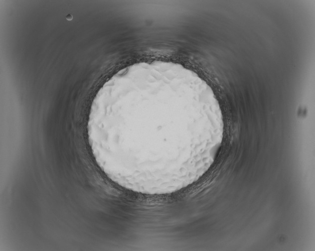 X0000094361393200711301414