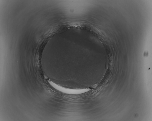 X0000094361394200711301414