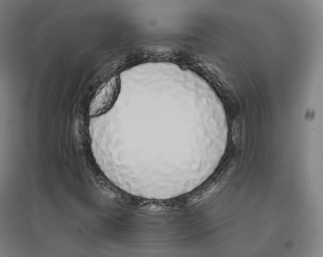 X0000094361395200711301414