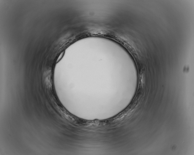 X0000094361396200711301414