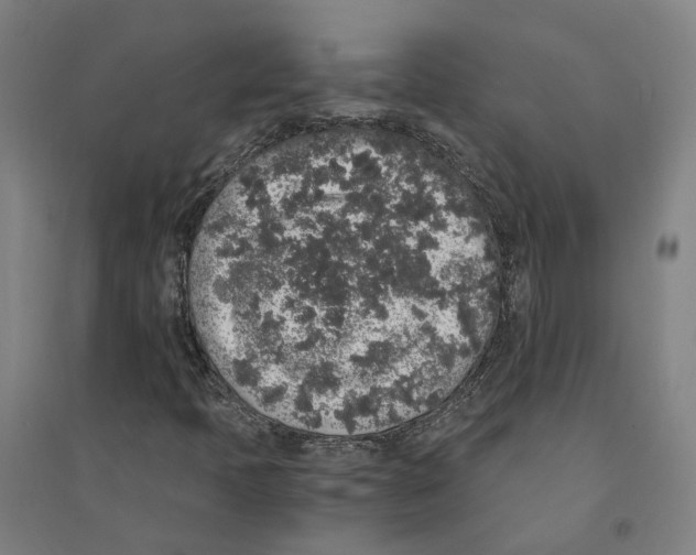 X0000094361397200711301414
