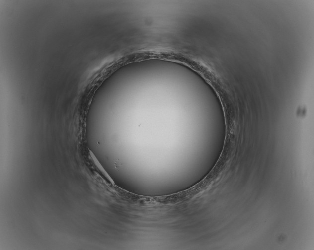 X0000094361398200711301414