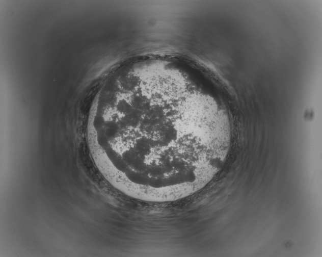 X0000094361399200711301414