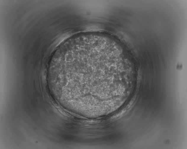X0000094361401200711301414