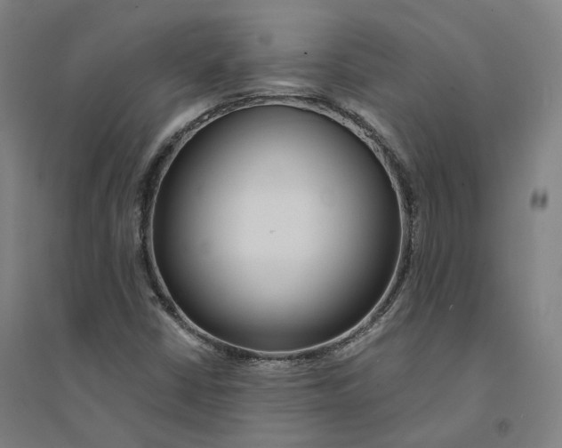 X0000094361402200711301414