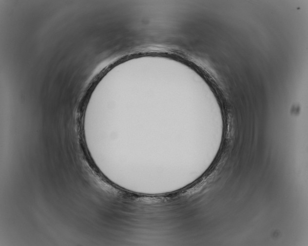 X0000094361404200711301414