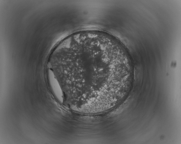 X0000094361405200711301414