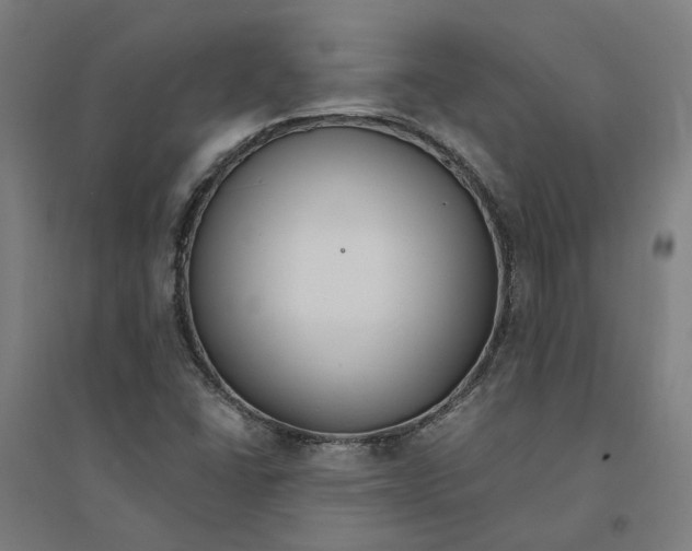 X0000094361406200711301414