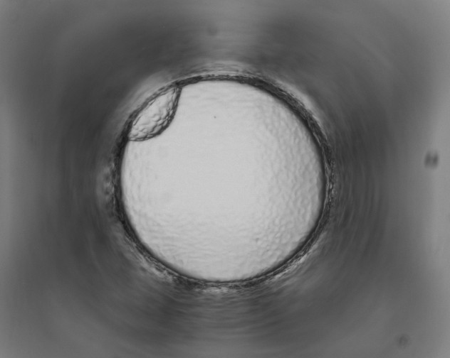 X0000094361407200711301414