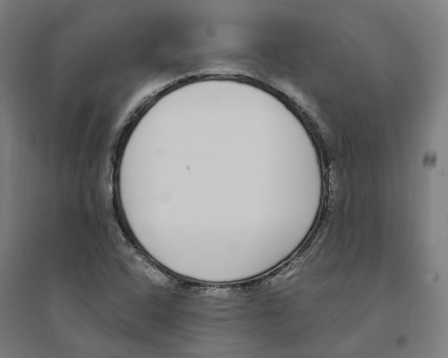 X0000094361408200711301414