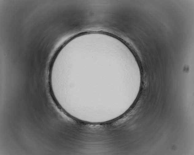 X0000094361416200711301414