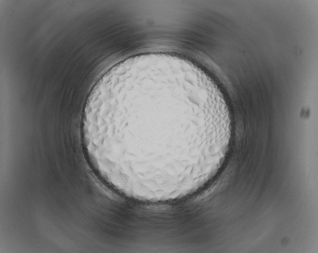 X0000094361417200711301414