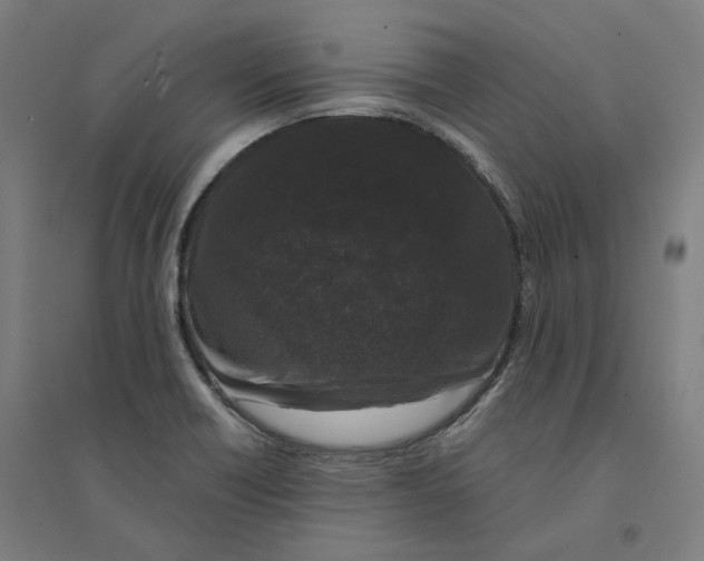 X0000094361418200711301414