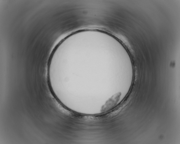 X0000094361420200711301414