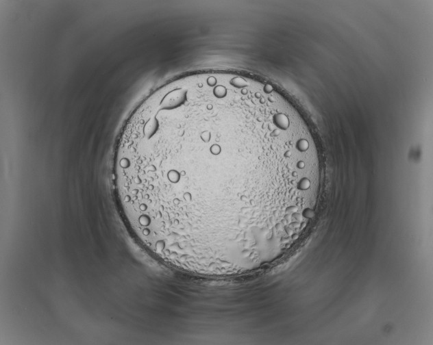 X0000094361421200711301414