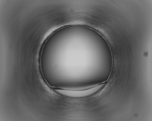 X0000094361422200711301414