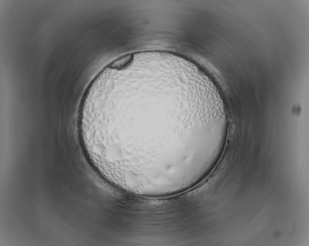 X0000094361423200711301415