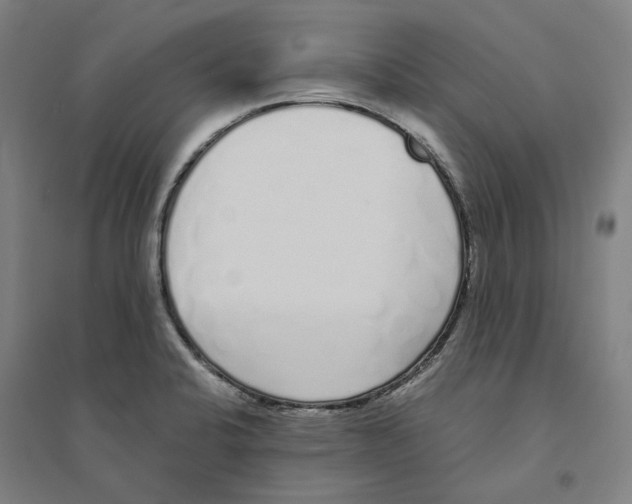 X0000094361424200711301415
