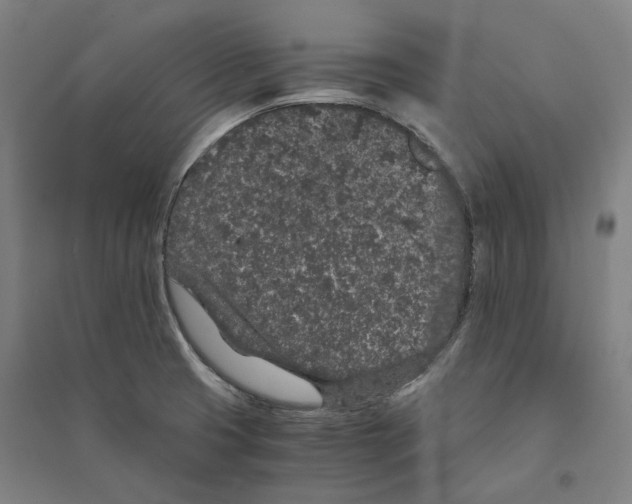 X0000094361425200711301415