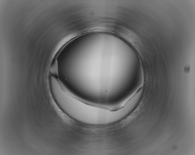 X0000094361426200711301415