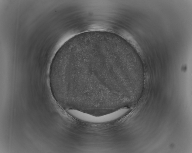 X0000094361427200711301415
