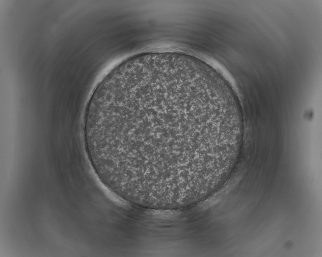 X0000094361429200711301415