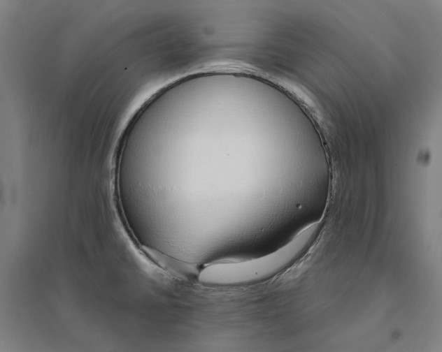X0000094361430200711301415