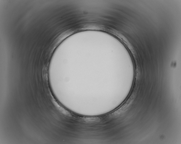 X0000094361433200711301415