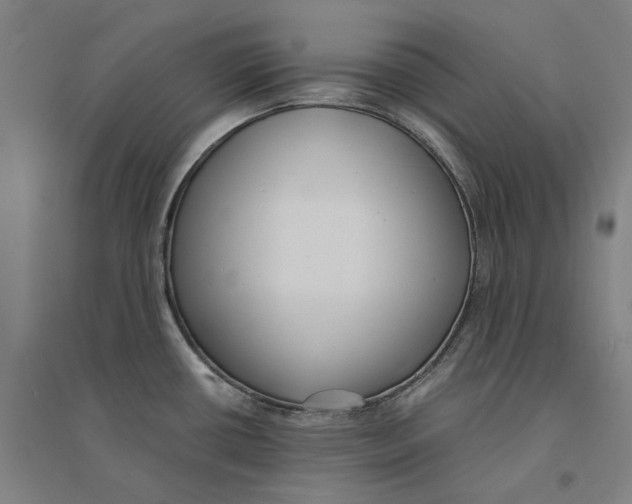 X0000094361434200711301415