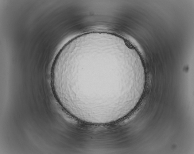 X0000094361435200711301415