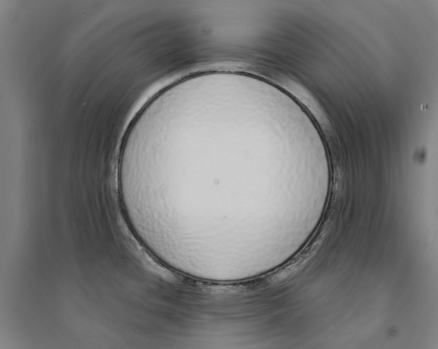 X0000094361436200711301415