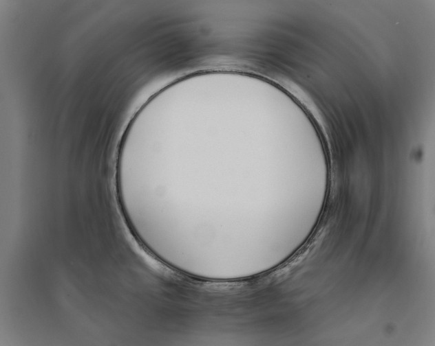 X0000094361437200711301415