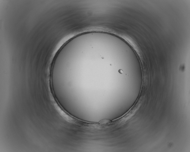X0000094361438200711301415