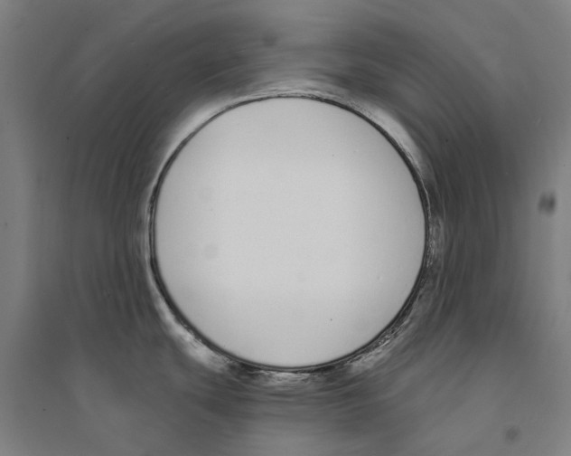 X0000094361439200711301415