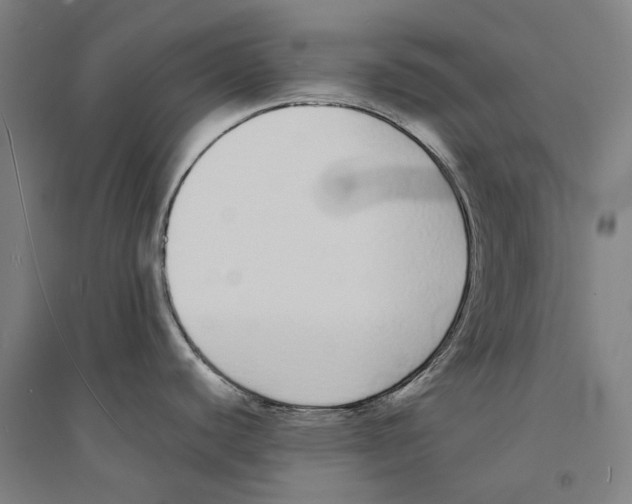 X0000094361440200711301415