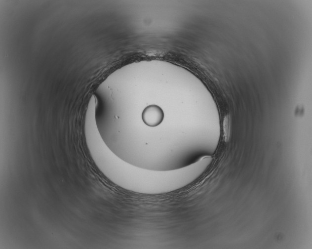 X0000094361443200711301414