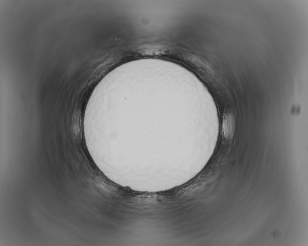 X0000094361444200711301414