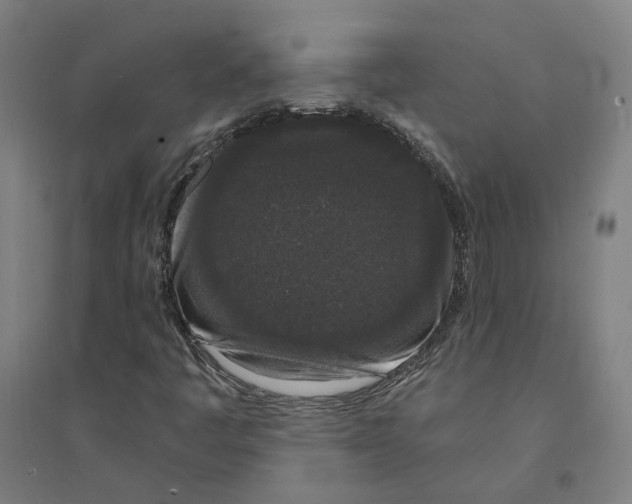 X0000094361445200711301414
