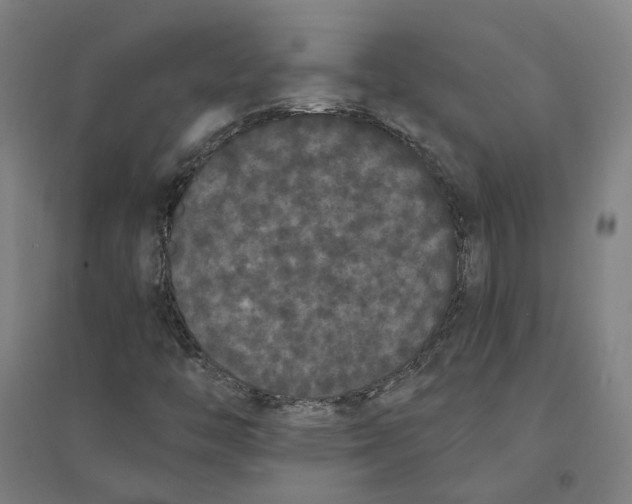 X0000094361446200711301414