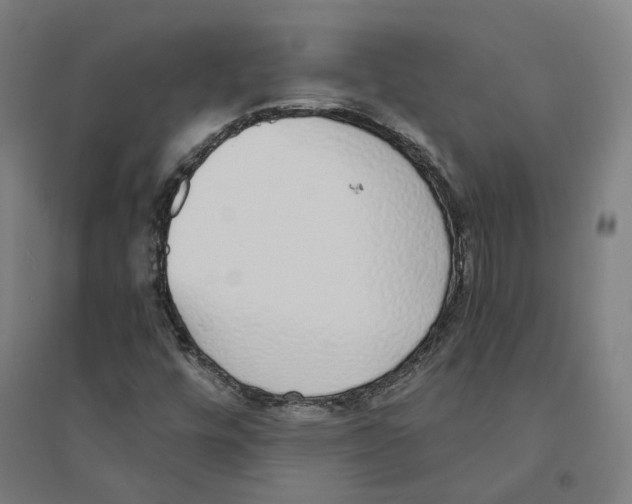 X0000094361448200711301414