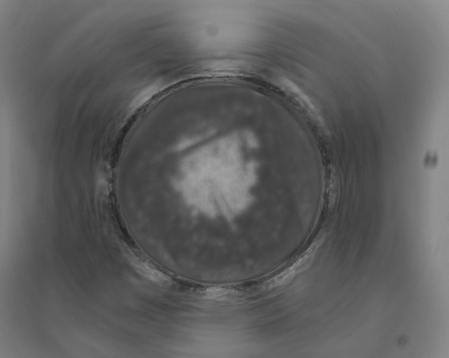 X0000094361449200711301414