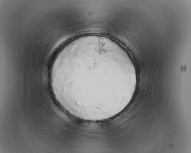 X0000094361450200711301414