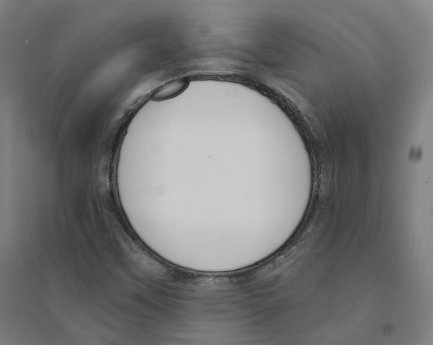 X0000094361451200711301414